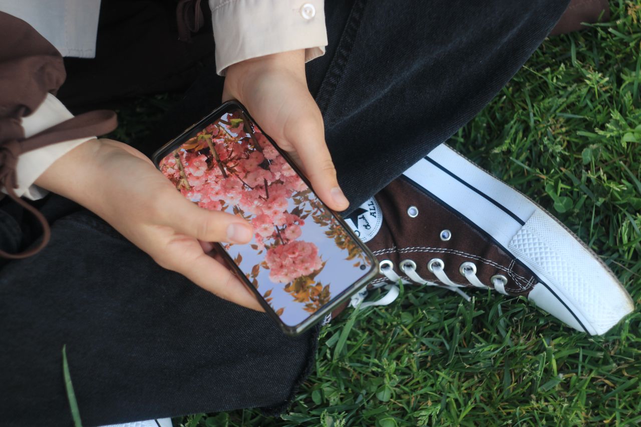 close up of hands holding smartphone with cherry blossom photo outdoor