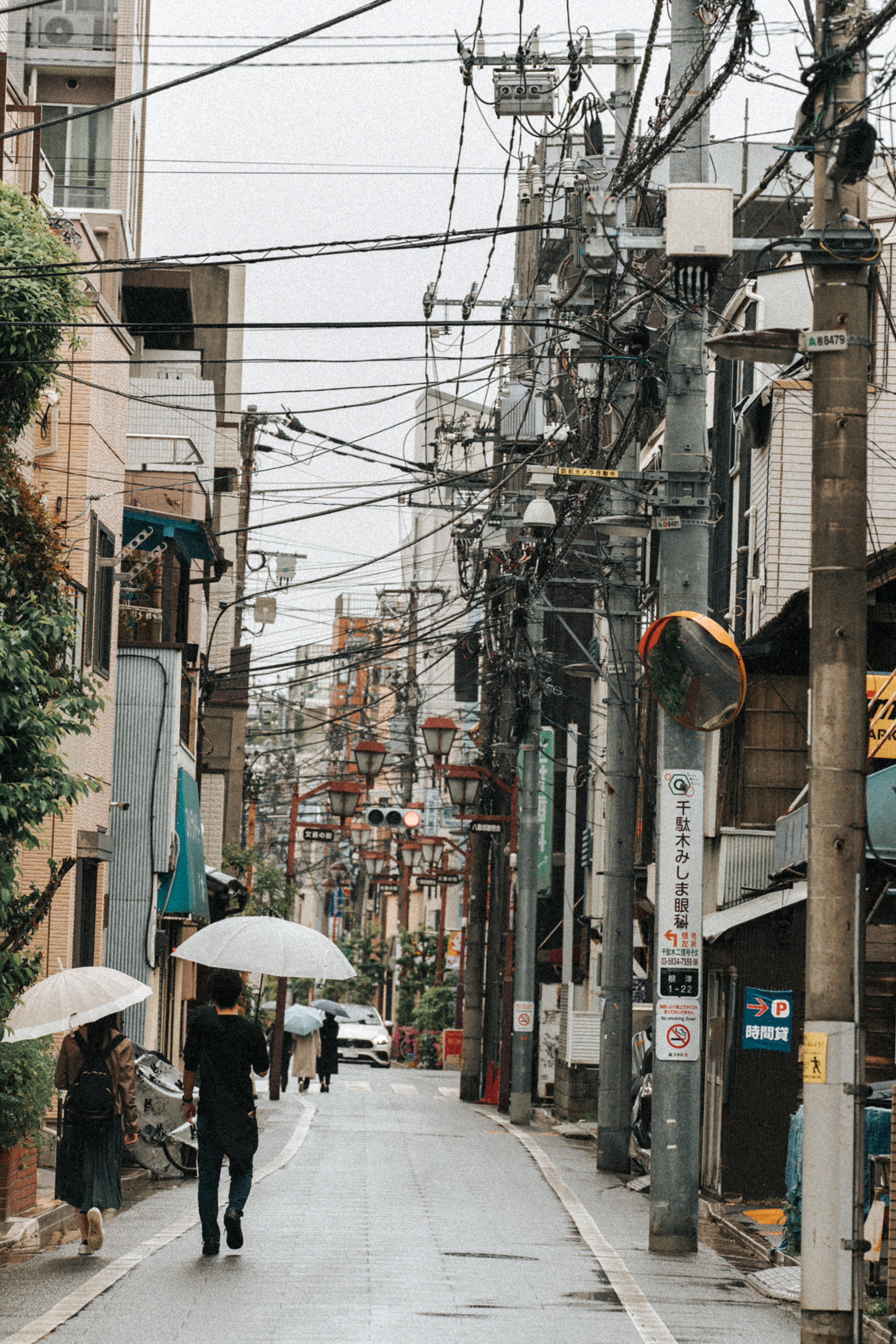 Back View of People Walking on the Street With Umbrellas · Free Stock Photo