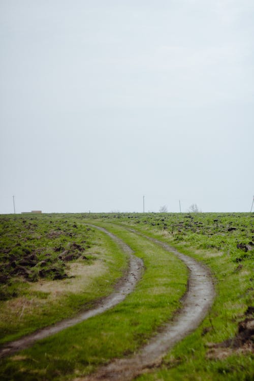 Dirt Road on Green Grass Under the White Sky