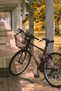 Bicycle Parked Near the Gray Metal Post