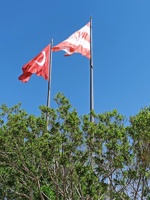 Red and White Flag on Pole Dancing with the Wind