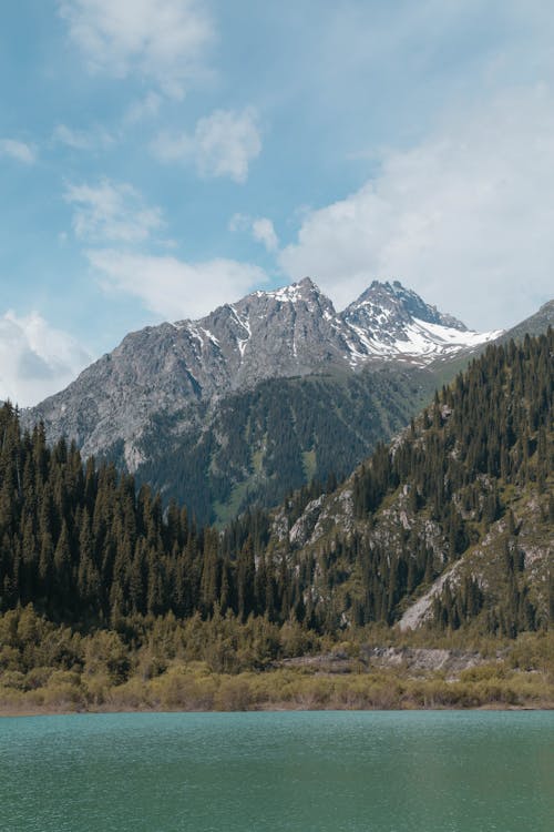 бесплатная Снежные шапки горы возле водоема Стоковое фото