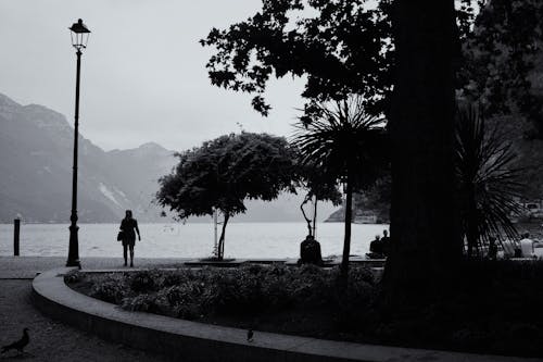 Silhouettes of People Walking on a Promenade along a Lake 