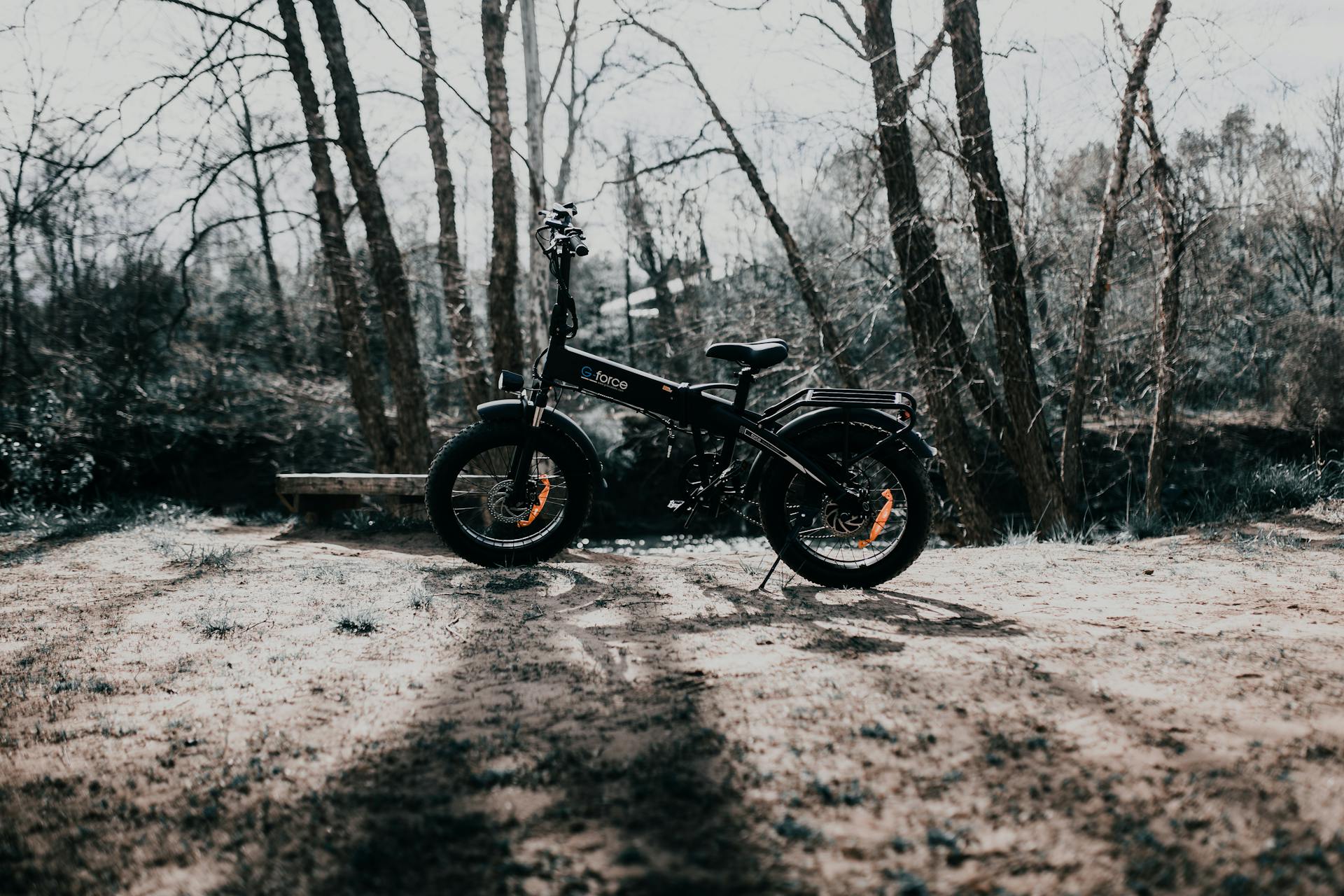 Electric bike resting on a forest path surrounded by bare trees, depicting serene winter landscape.