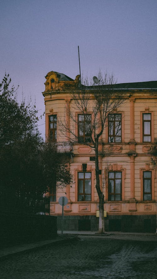 ağaçlar, bina, dikey atış içeren Ücretsiz stok fotoğraf