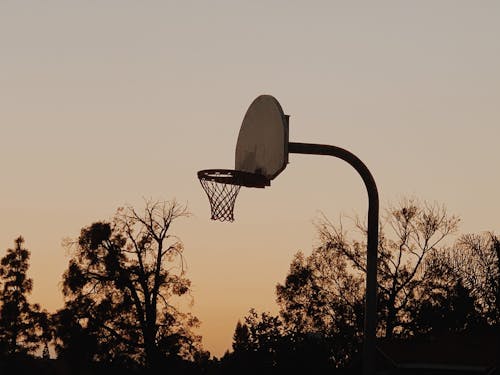 Basketball Hoop and Trees Silhouette against Sky