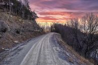 Gray Road Between Brown Trees during Sunset
