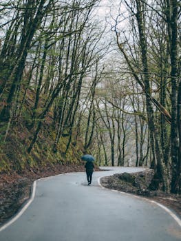 Person with umbrella walking on winding road through quiet forest, capturing solitude and nature's beauty.