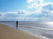 Person Walking on Beach