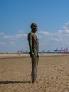 Man in Green and Black Camouflage Suit Standing on Brown Sand
