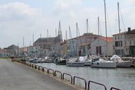 Sailboats on the Harbor