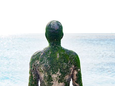 Moss Covering a Statue