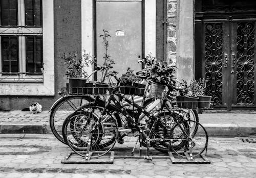 Gratis lagerfoto af årgang, blomst, cykel