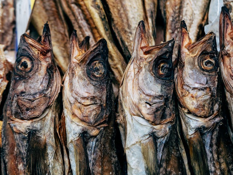 Close-up Of Dry Fish Stack