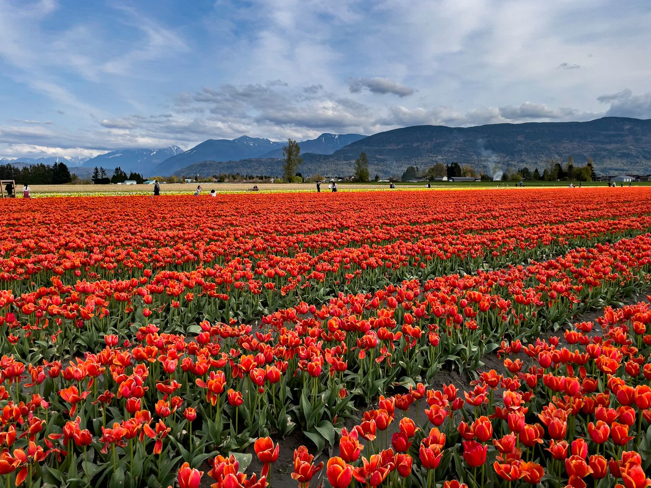 Chilliwack digital marketing agency - Smart Marketing First, Fraser Valley