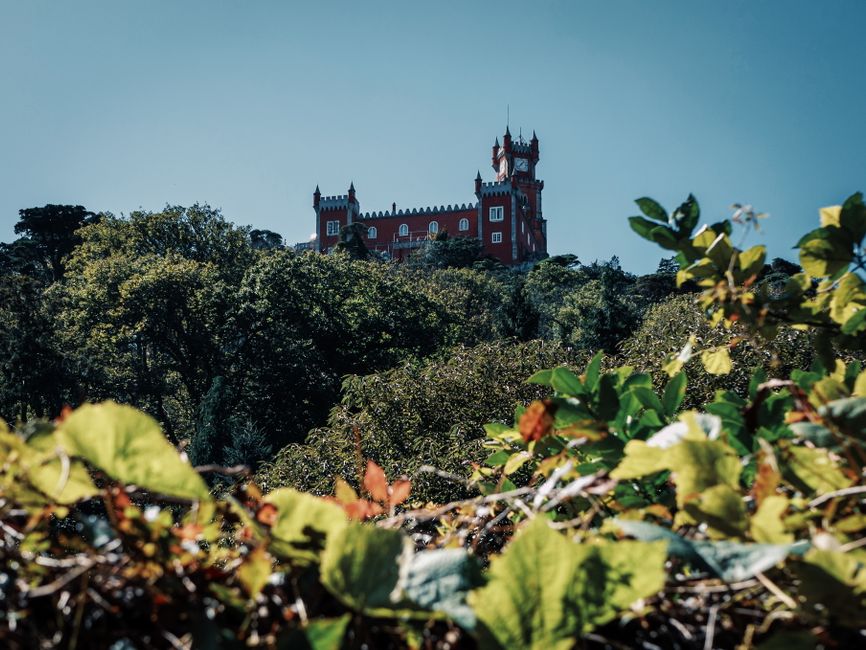 Colorful Palácio Nacional da Pena in Sintra, Portugal, surrounded by lush park