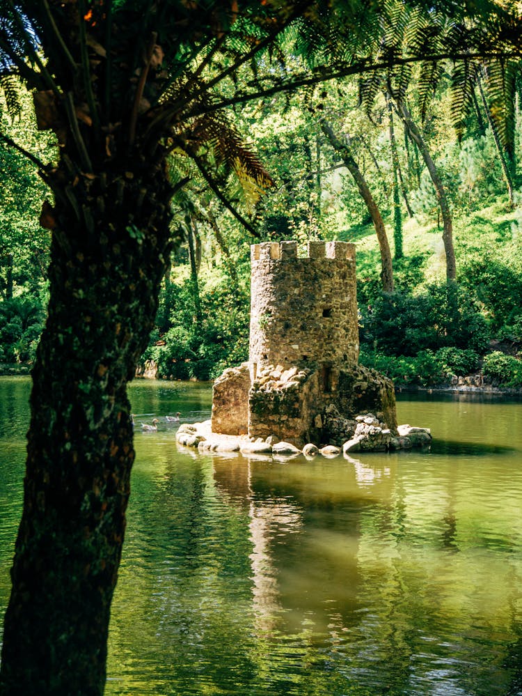 Park Of Pena Palace, Sintra, Portugal 