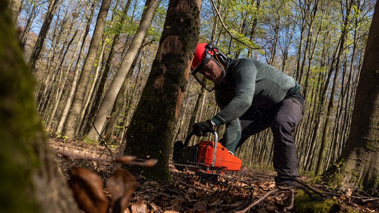 Man Cutting The Tree Using A Chainsaw 