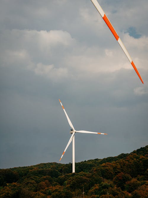 Fotos de stock gratuitas de aerogenerador, árboles verdes, cielo sombrío