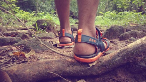 Gratis arkivbilde med sandaler, skog, tropisk regnskog