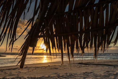 คลังภาพถ่ายฟรี ของ กระท่อมชายหาด, ขอบฟ้า, ช่วงแสงสีทอง