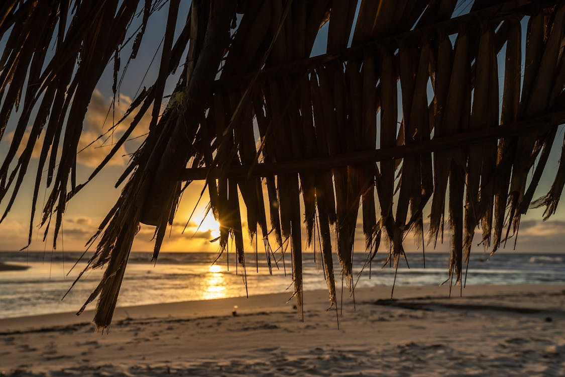 Безкоштовне стокове фото на тему «берег моря, горизонт, Захід сонця»