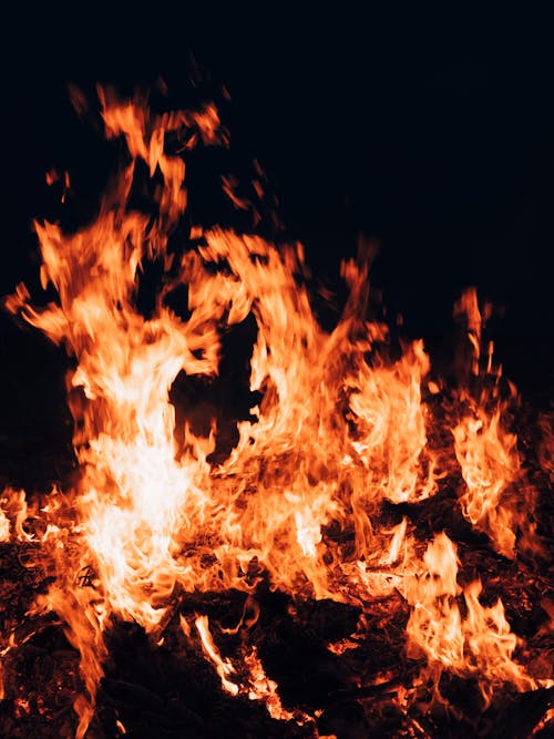 Foto d'estoc gratuïta de cremant, flama, foc