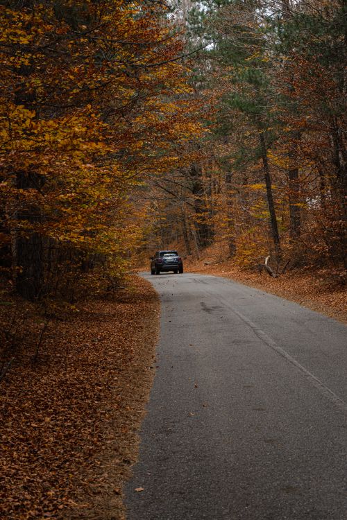 Free A car driving down a scenic autumn road surrounded by colorful fall trees. Stock Photo