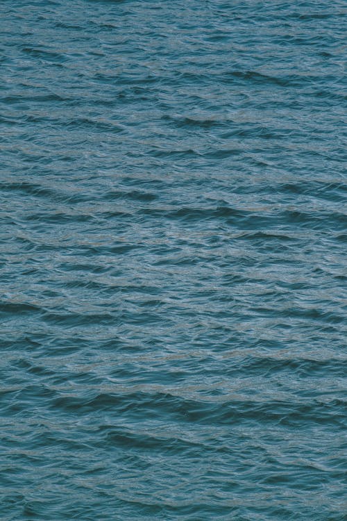 물, 바다, 바탕화면의 무료 스톡 사진