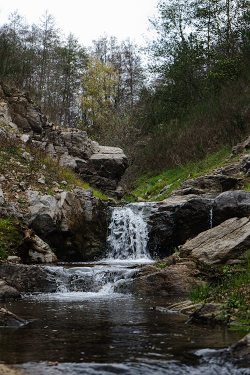 Rocky Water Falls Between Green Trees