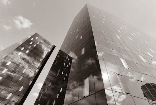 Low Angle Shot of Glass Buildings