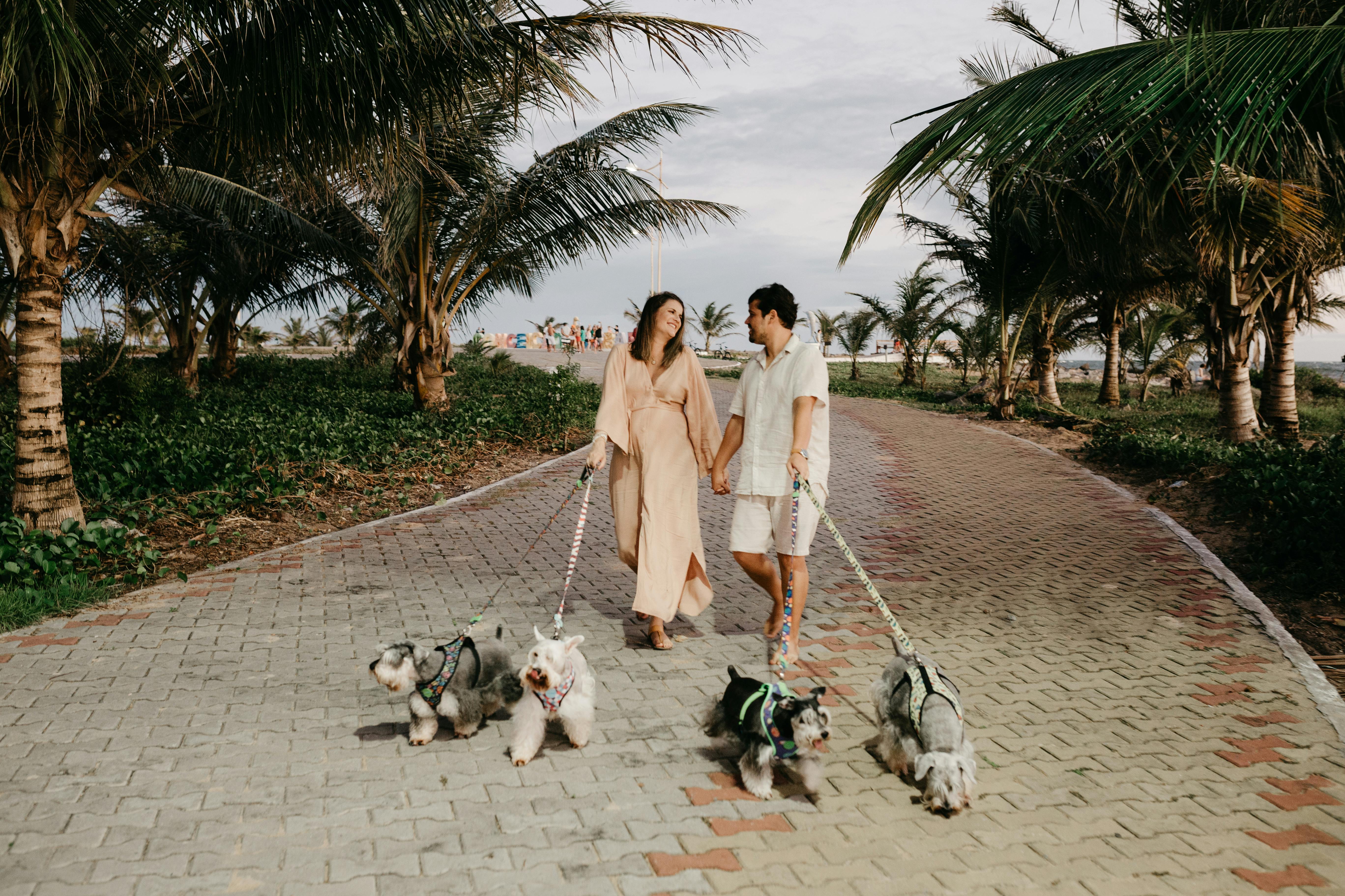 Couple Holding Leash of Dogs