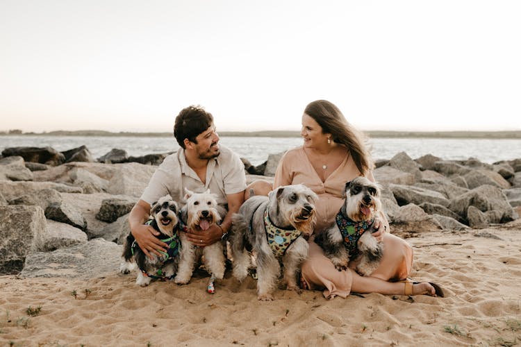 Young Couple Sitting On Beach With Pack Of Cute Fox Terriers