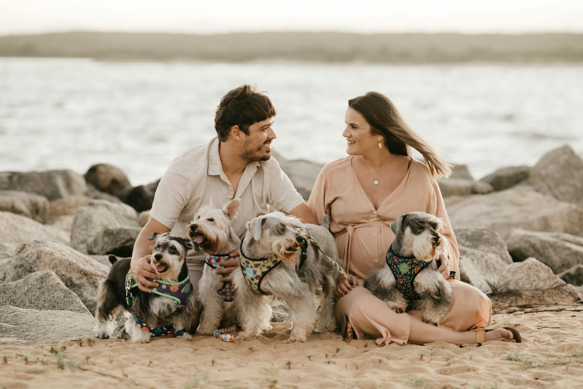 Happy Couple Spending Time on Beach with Cute Dogs