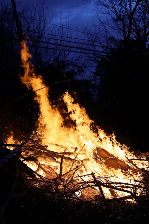 Gratis stockfoto met aangebrand, bonfire, brand