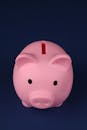 Close Up Photo of a Pink Piggy Bank