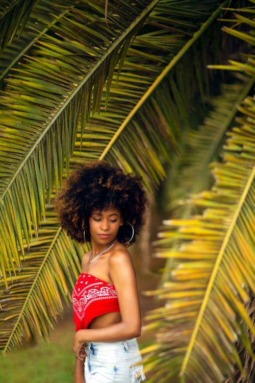 Woman in Big Afro Standing under Palm Leaves