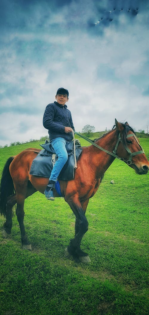 Mobile Wallpapers Pexels