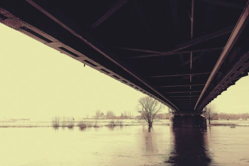 Grayscale Photography of River Under Bridge