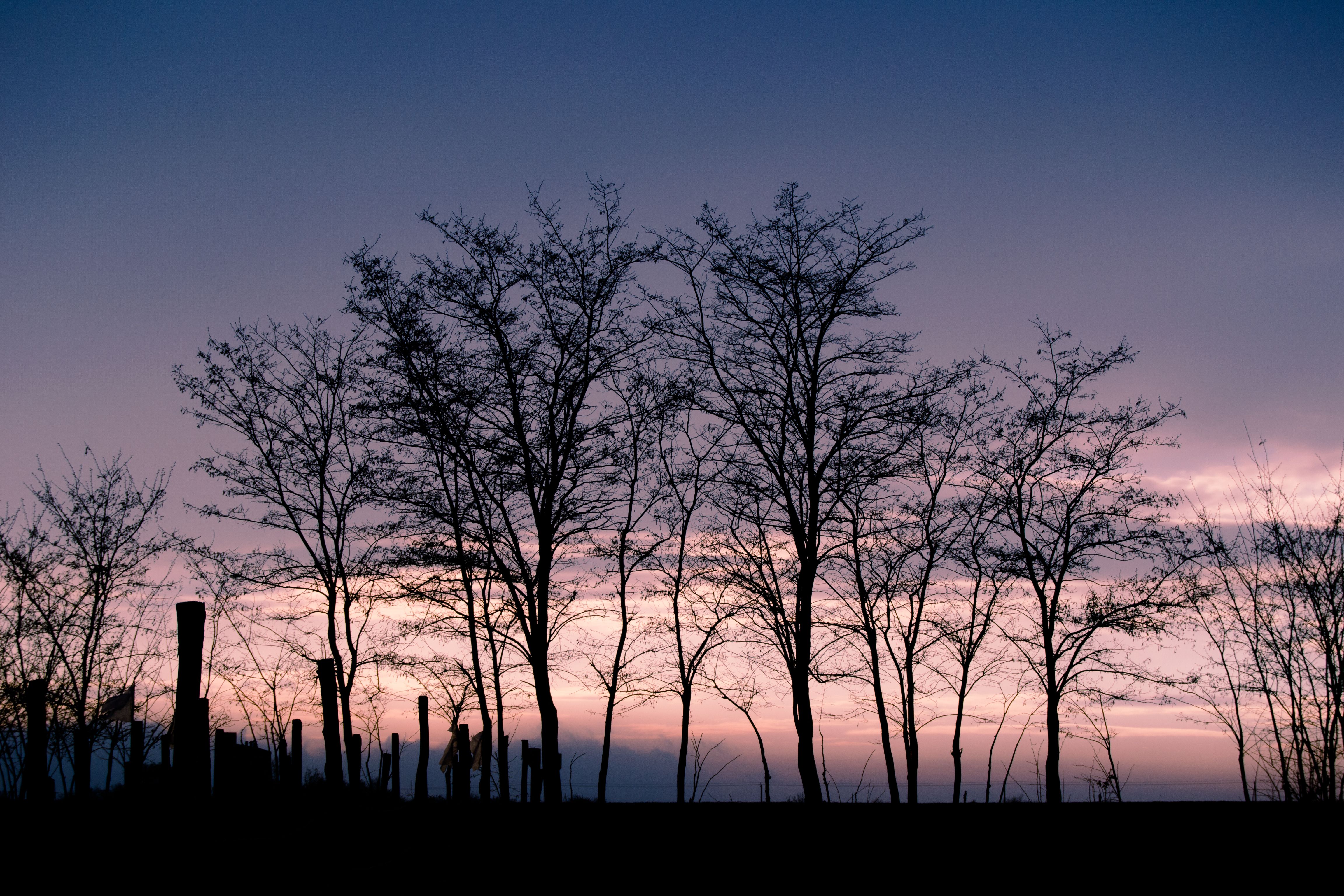 ToursByLocals Reveals World's Best Local Guides — Photo by Evelin Rotaru on Pexels