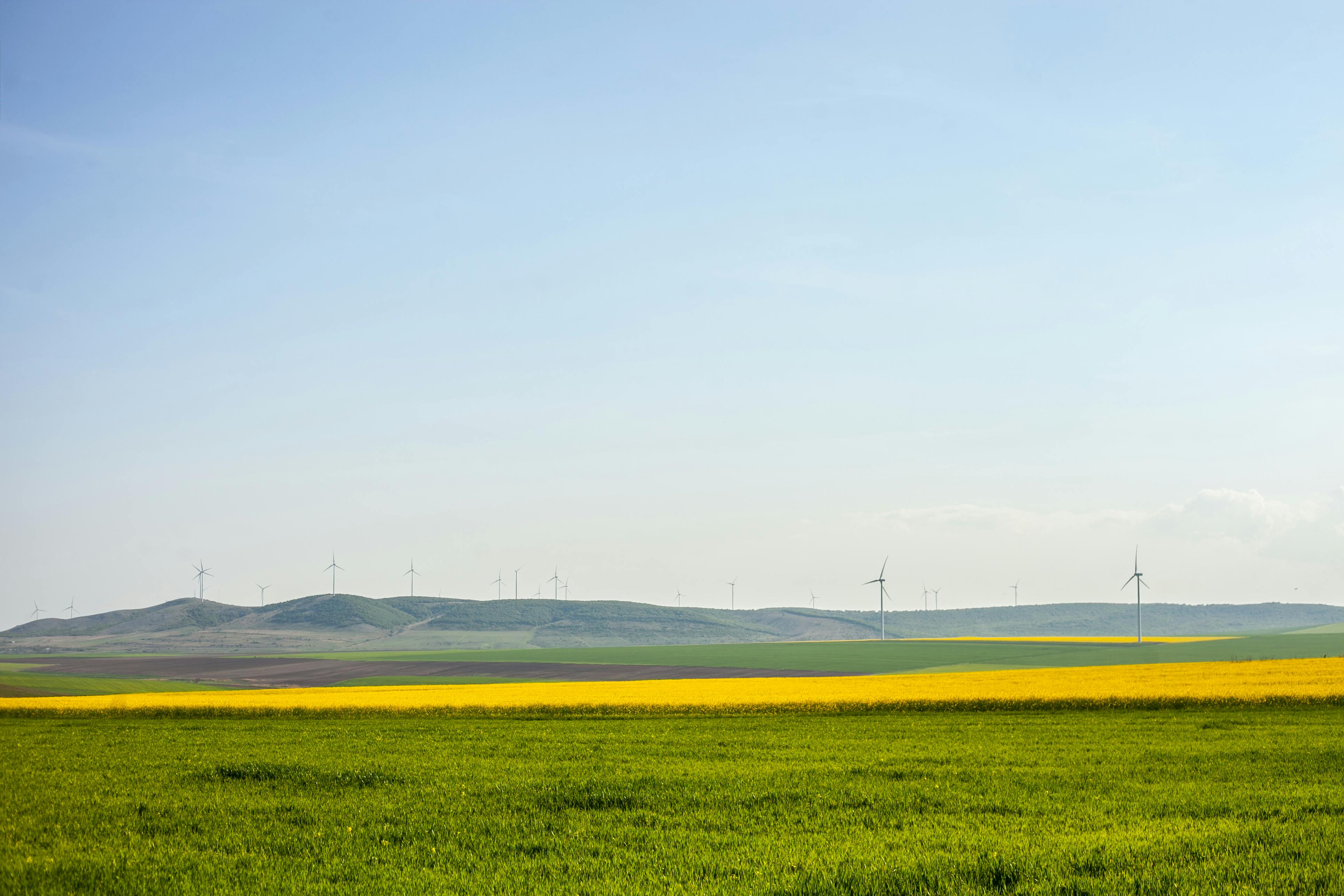 Free Stock Photo Of Green Landscape Nature
