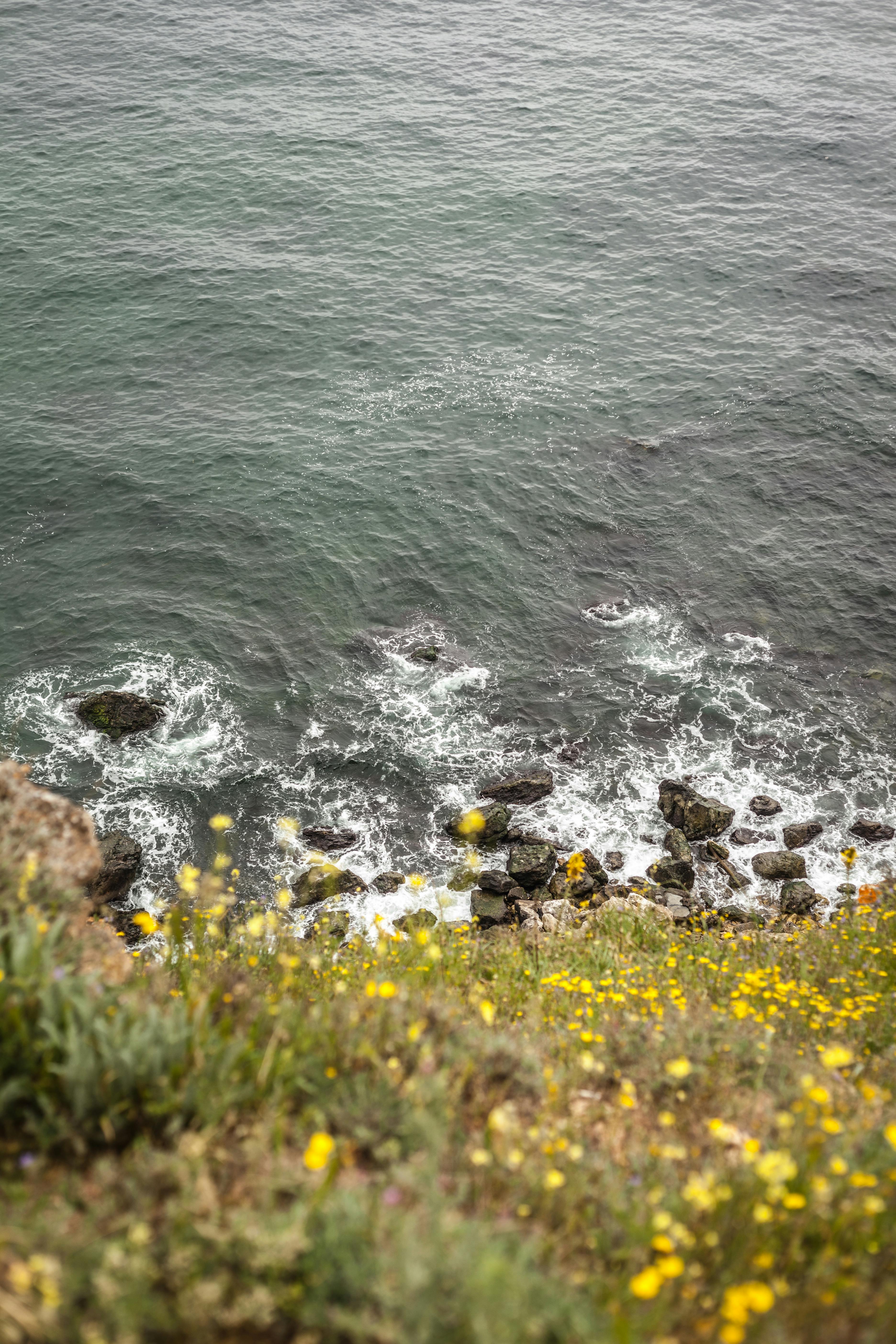 Kostenloses Foto Zum Thema Meer Natur Sommer