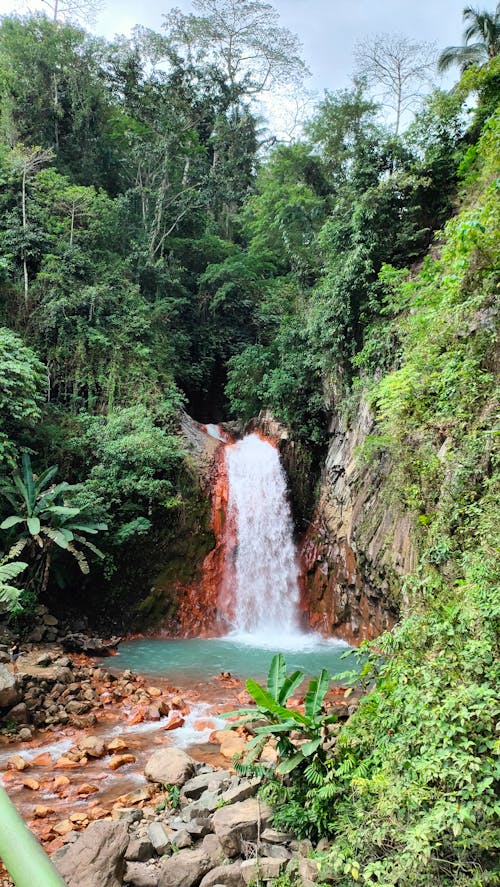 Waterfalls in the Rainforest