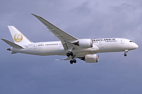 White Airplane Flying