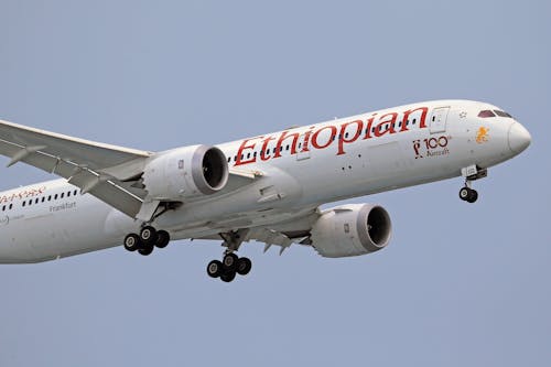 Kostenlos Kostenloses Stock Foto zu äthiopische fluggesellschaft, aviate, blauer himmel Stock-Foto