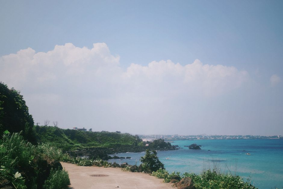 5월 제주도 싱그러운 초록 오름과 들판 전경