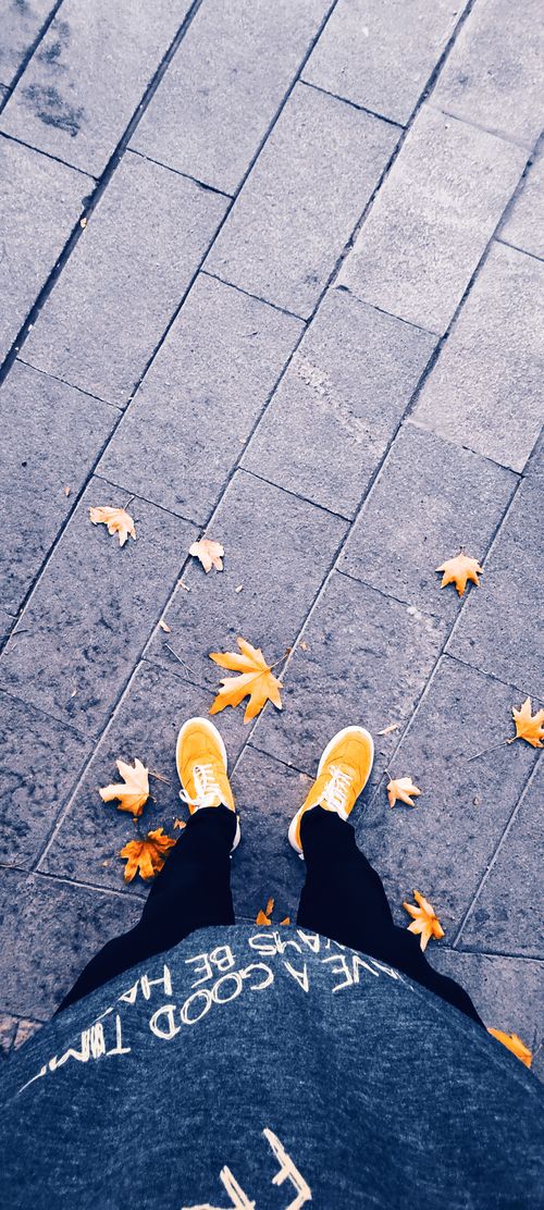 Free fall Stock Photo