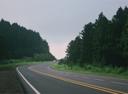 Free A tranquil scene of an empty curved road winding through lush green forests on a cloudy day. Stock Photo
