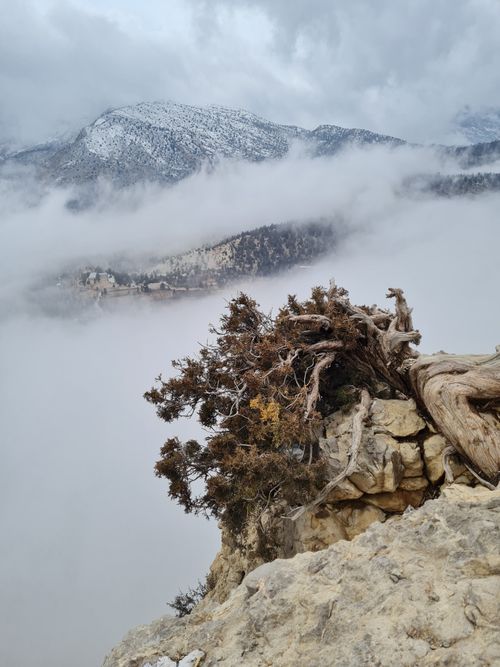 Free Experience the serene beauty of snow-capped mountains and rugged cliffs enveloped in mist at Ziarat, Balochistan. Stock Photo