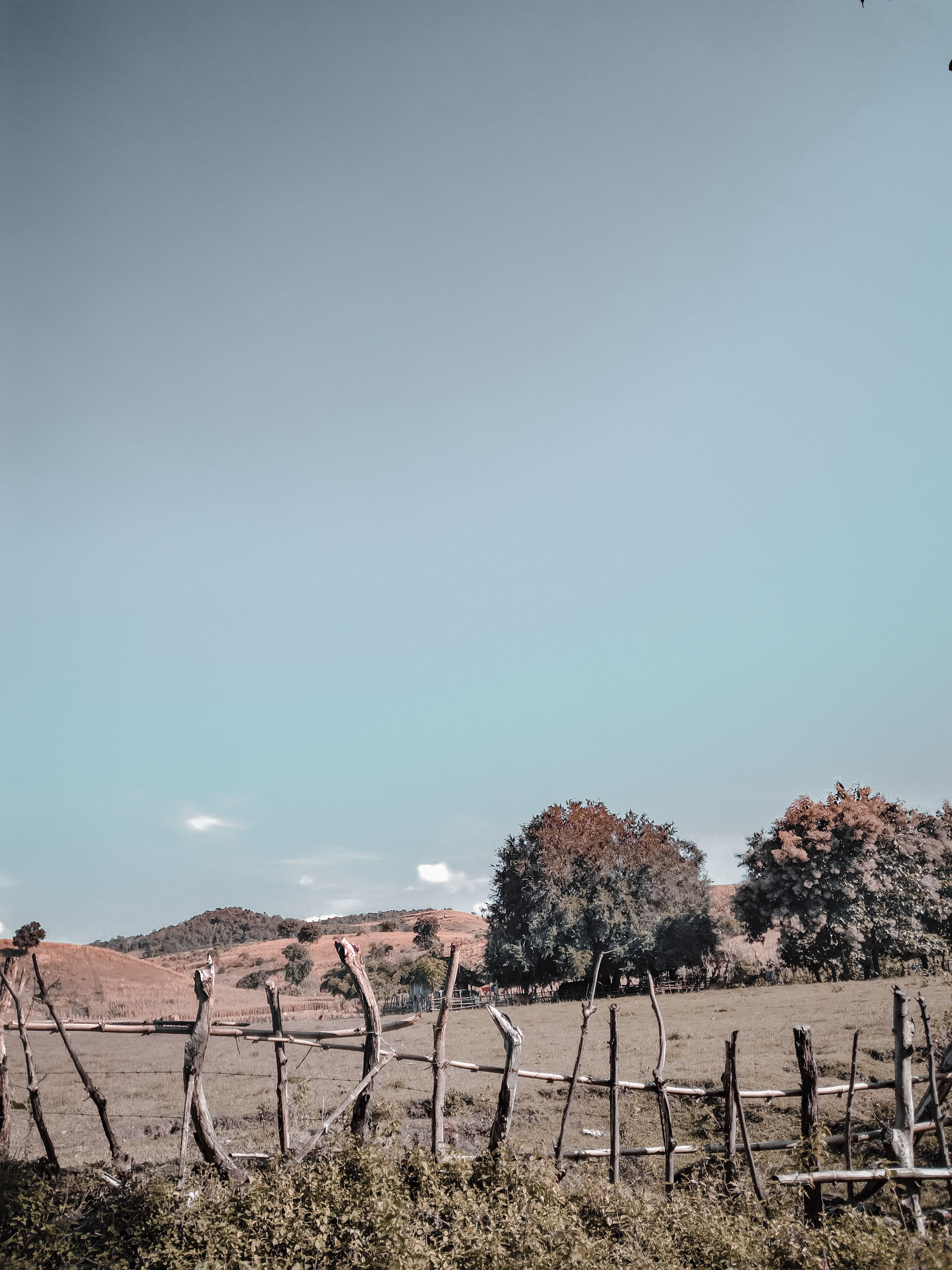 A Wooden Fence on a Grassy Field · Free Stock Photo